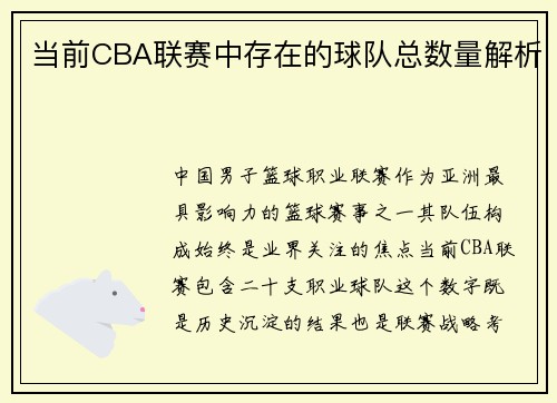当前CBA联赛中存在的球队总数量解析