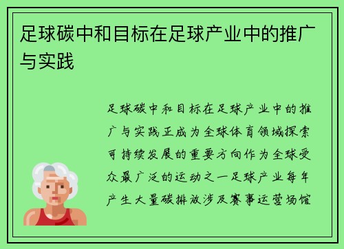 足球碳中和目标在足球产业中的推广与实践